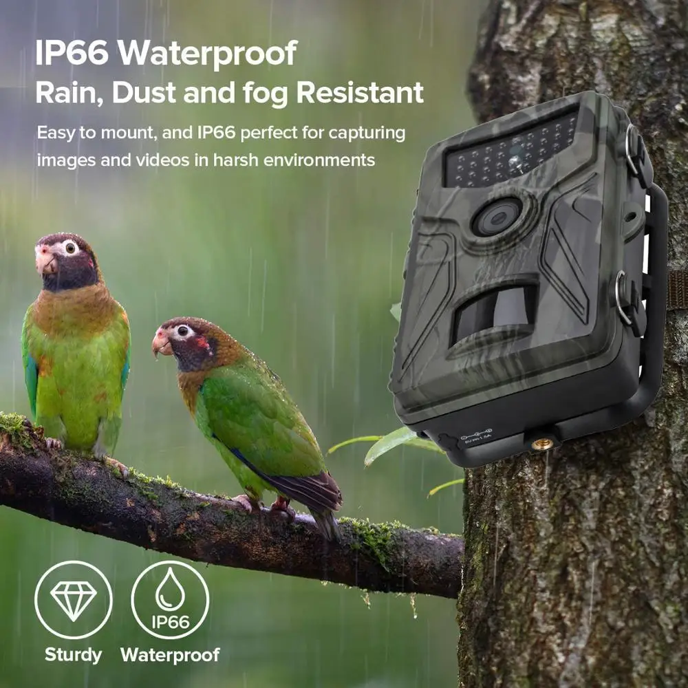 Hunting Trail Camera Wildlife Night Vision Cameras HC804A 1080P 20MP Wild Wireless Tracking Surveillance Cam Photo Trap