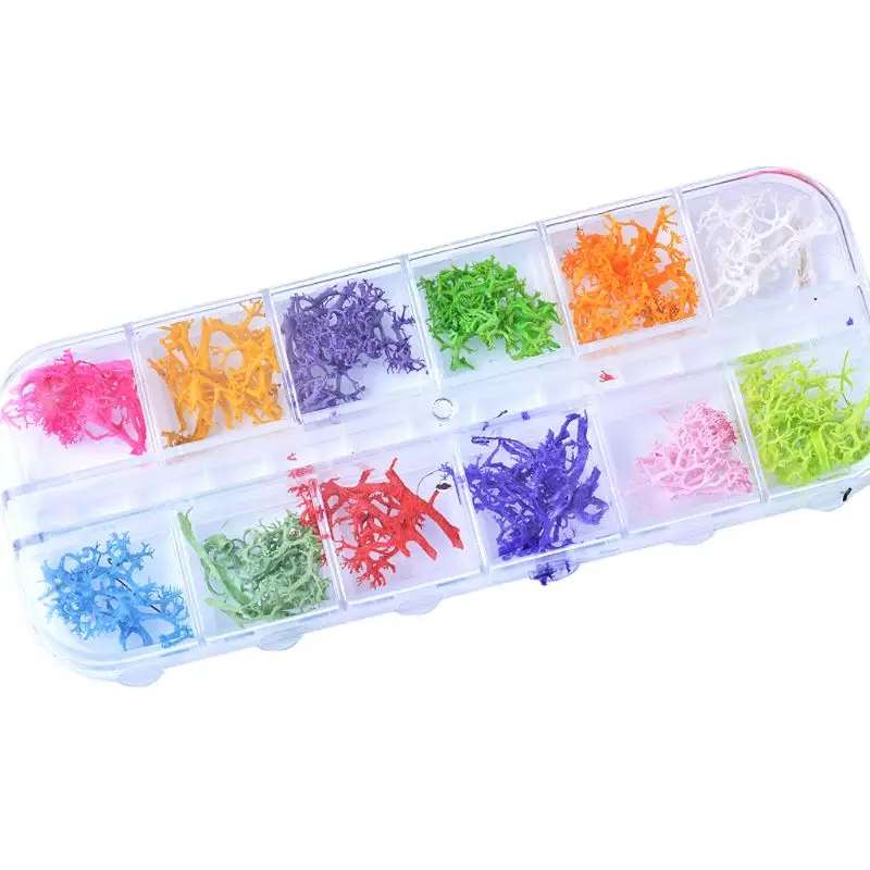 

12 Colors Natural Coral Tree Pressed Dried Flower Nail Art Resin Jewelry Making