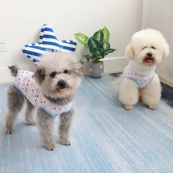 

New Style Pet Physical Pant TeddySchnauzer Dog