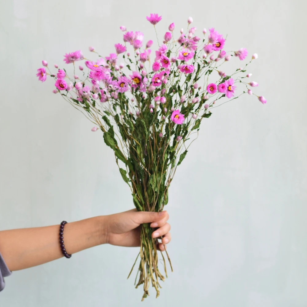 20 стеблей Натуральные сушеные цветы мини букет ромашек сухой цветок Цветущий Свадебный центр ремесла украшение дома - Цвет: Розовый