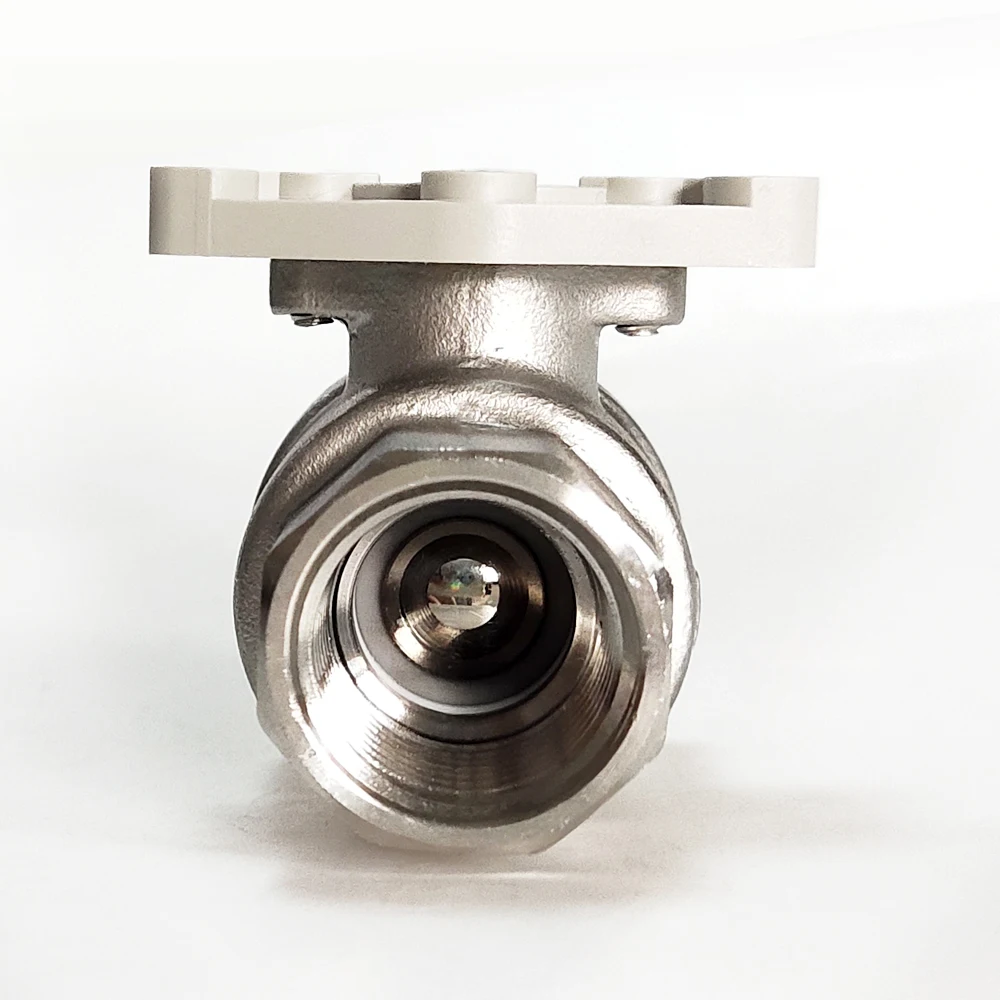 

DN8 DN10 Stainless Steel Valve Body 1/4", 3/8" used for Electric Valve with BSP NPT thread