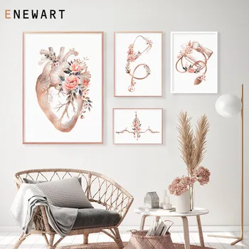

Human Anatomy Artwork Medical Wall Picture Muscle Skeleton Vintage Print Poster Nordic Education Canvas Painting Modern Decor
