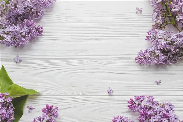

SHUOZHIKE Vinyl Custom Photography Backdrops Props Flower and Wood Planks theme Photo Studio Background 20212-3635