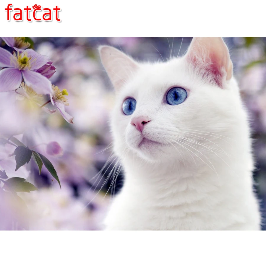 FATCAT 5D DIY алмазная живопись Белый Кот вышивка милый котенок полная картина стразы
