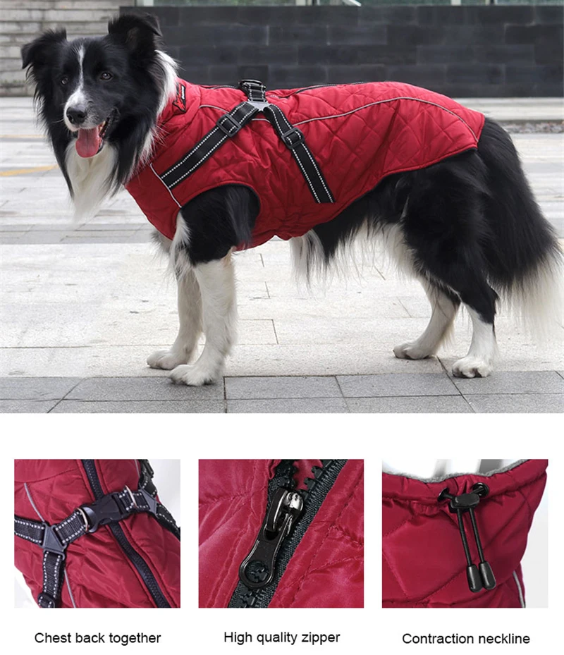 winter dog clothes (4)