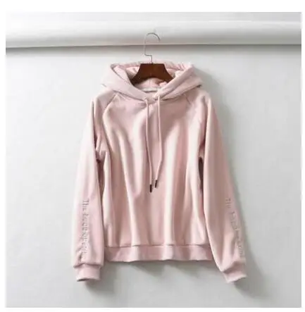 Jvzkass new thick velvet sports suit two-piece female hooded embroidery sweatshirt+ casual pants to keep warm Z332 - Цвет: Pink clothes