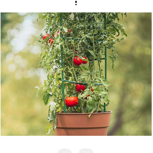 10 Darabos Kerti Tét Egyenes Csatlakozó Kertészi Üzem Támogató Cső Az Üvegházhatású Növények Tartókhoz - Image 5