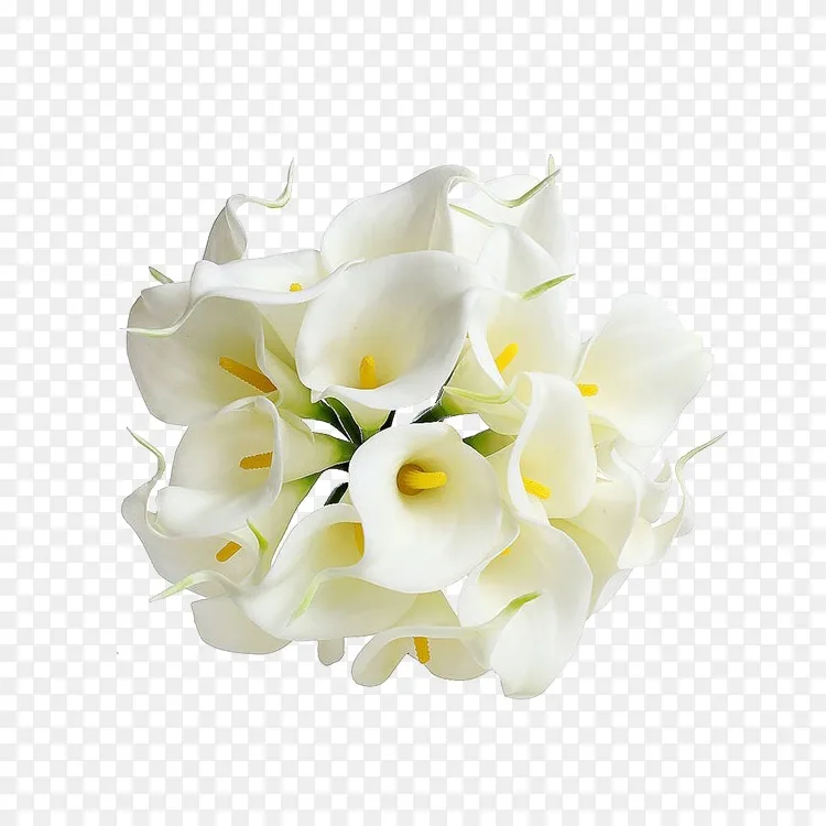 槟榔 百合花束婚礼新娘 瓜png透明形象png图片素材免费下载 图片编号 Png素材网