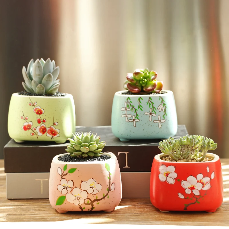 

Multi-meat Pot Creative Meat Simple Porcelain Pot Multi-meat Ceramic Small Meat Plant Pot Desktop Metal Garden Decors