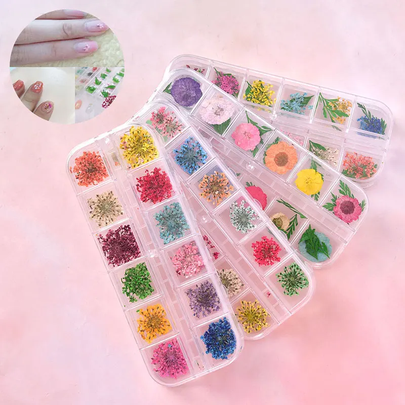 

1Box Mixed Dried Flowers Leaf Nail Decorations Natural Dry Flower Manicure Decal