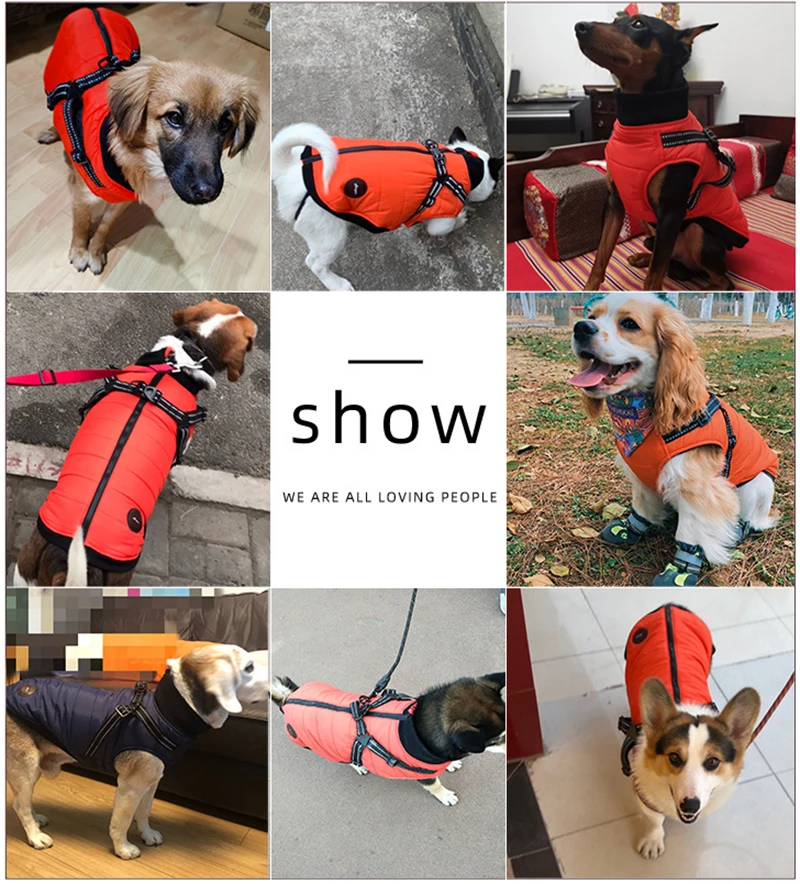 21717250723_644690080