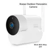 Video Surveillance