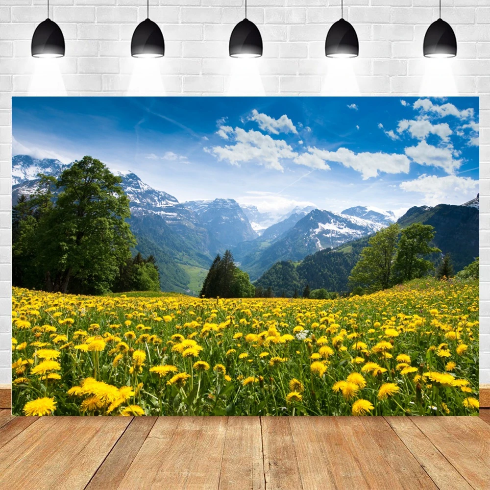 Mountain Sky Clouds Flowers Waterfall Nature Scenery Baby Portrait  Photography Backdrop Spring Background For Photo Studio Props - Backgrounds  - AliExpress