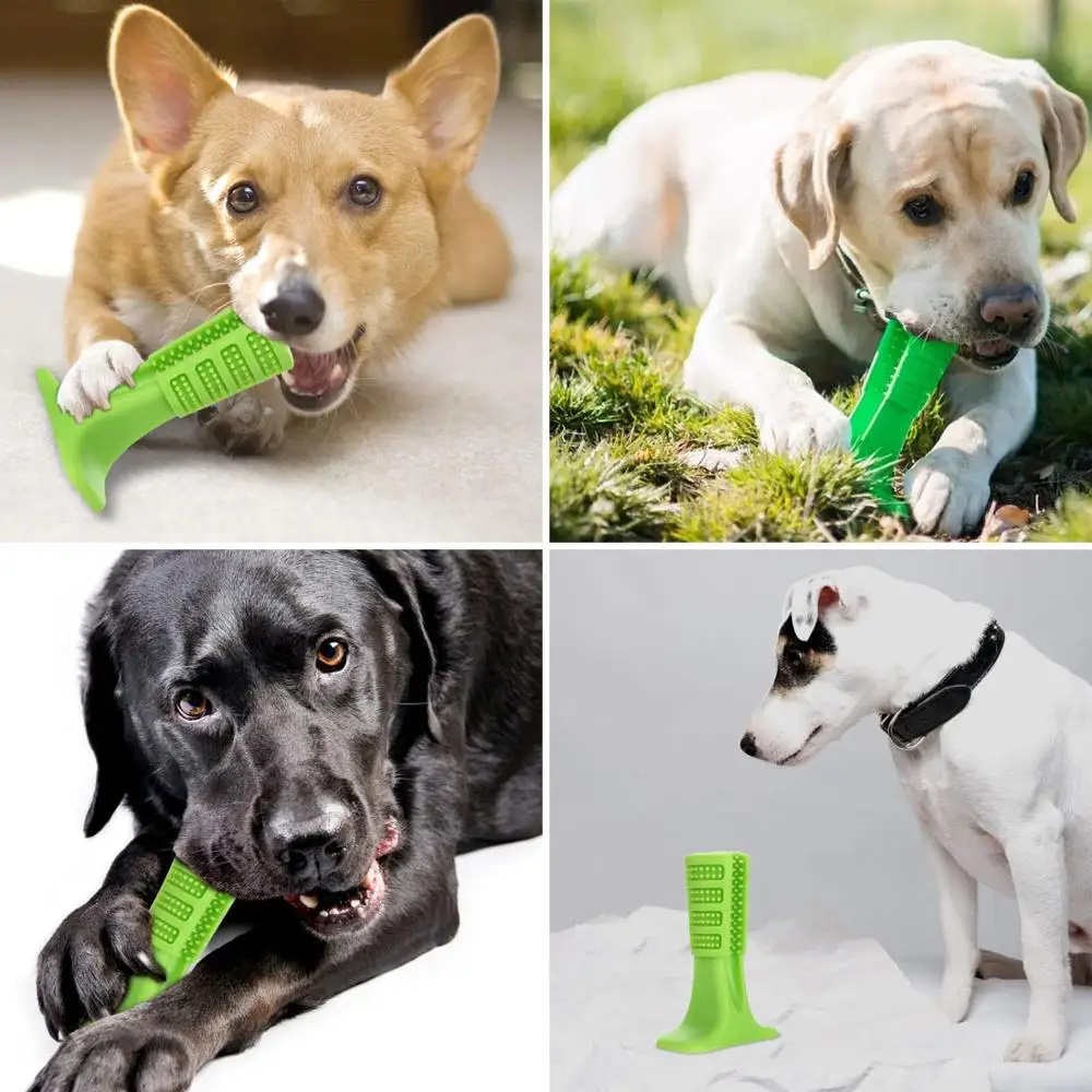 Dog Toy Ball Food Funny Toothbrush Stick Pet Dog Toys For Small Large Dogs Tooth Brush Bite Resistant Puppy Pet Chew Toys Rubber (24)