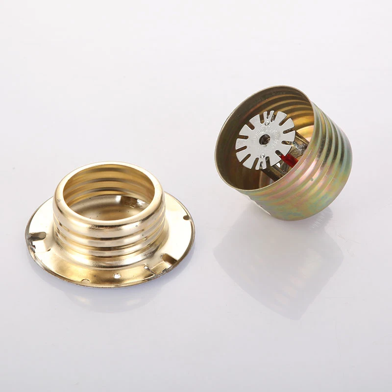 Рисунок 2 - Скрытая пожарная насадка