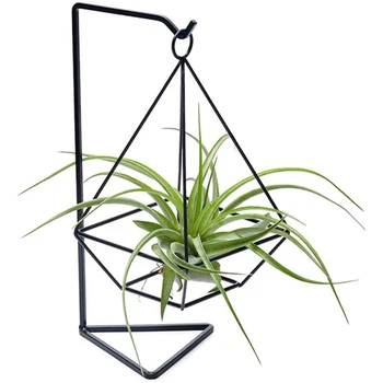 

1Pc Air Plant Holder, Air Plant Terrarium, Air Plant Stand, Modern Style Air Plant Table Holder Four Side Bracket