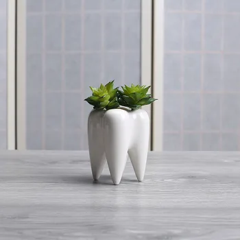 

4 Pcs/set Innovative White Ceramic Tooth Shape Succulent Plants Flower Pot Modern Design Planter Basket Flower Vase Decor