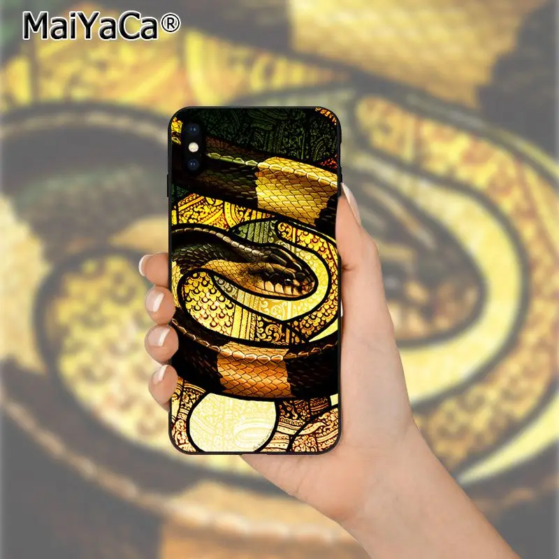 Coral snake animal