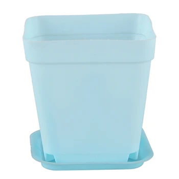 

10x cute plastic ard pots plus case family garden office decoration With a tray Blue