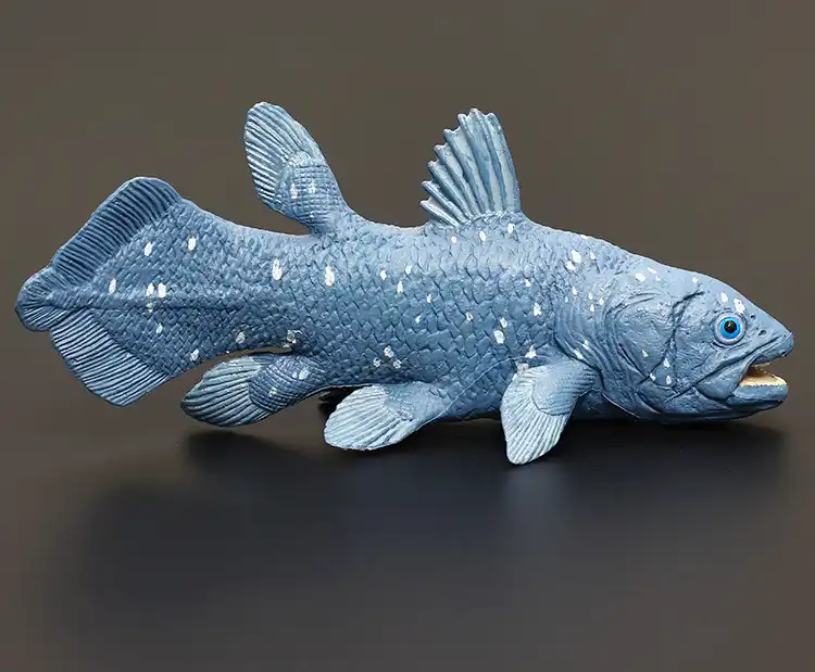 coelacanth toy
