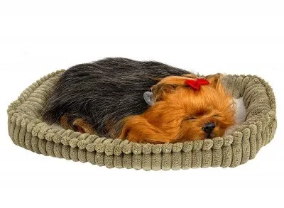 Щенок йоркширского терьера с дыханием PerfectPetzzz