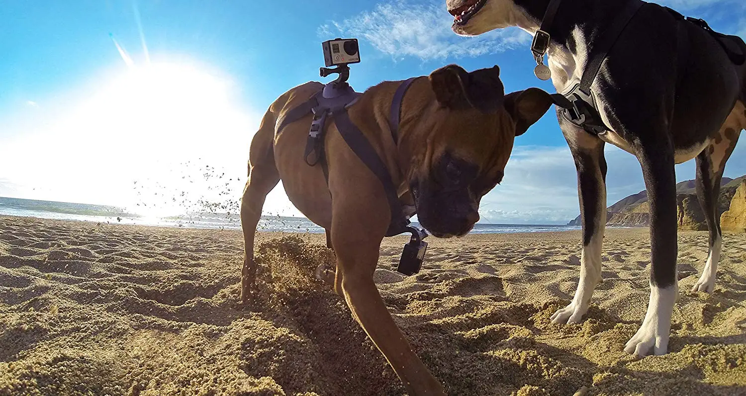 Для GoPro Hero 3 3+ 4 5 6 собачий поводок для собак, нагрудный ремень, крепление для камеры