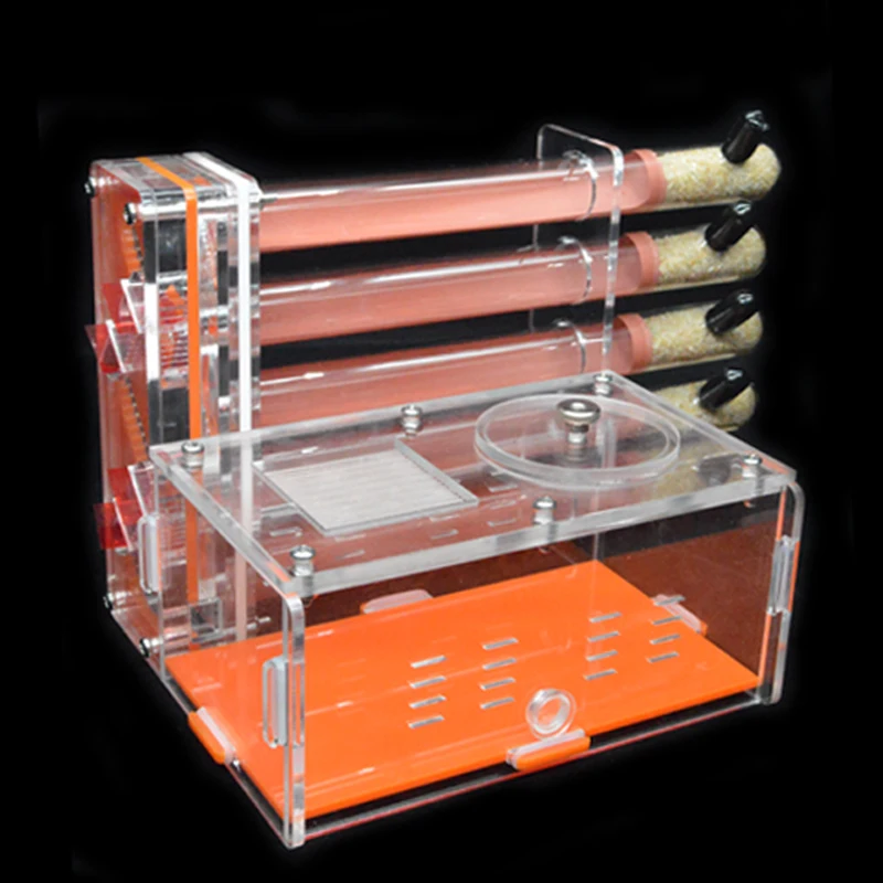 Gypsum Test Tube DIY акрил муравьиная ферма мастерская 5 штукатурки Муравьиное гнездо Муравьиное Гнездо дом с зоны кормления насекомое животное муравейник гипсовая пробирка гнездо - Цвет: Gypsum Test Tube