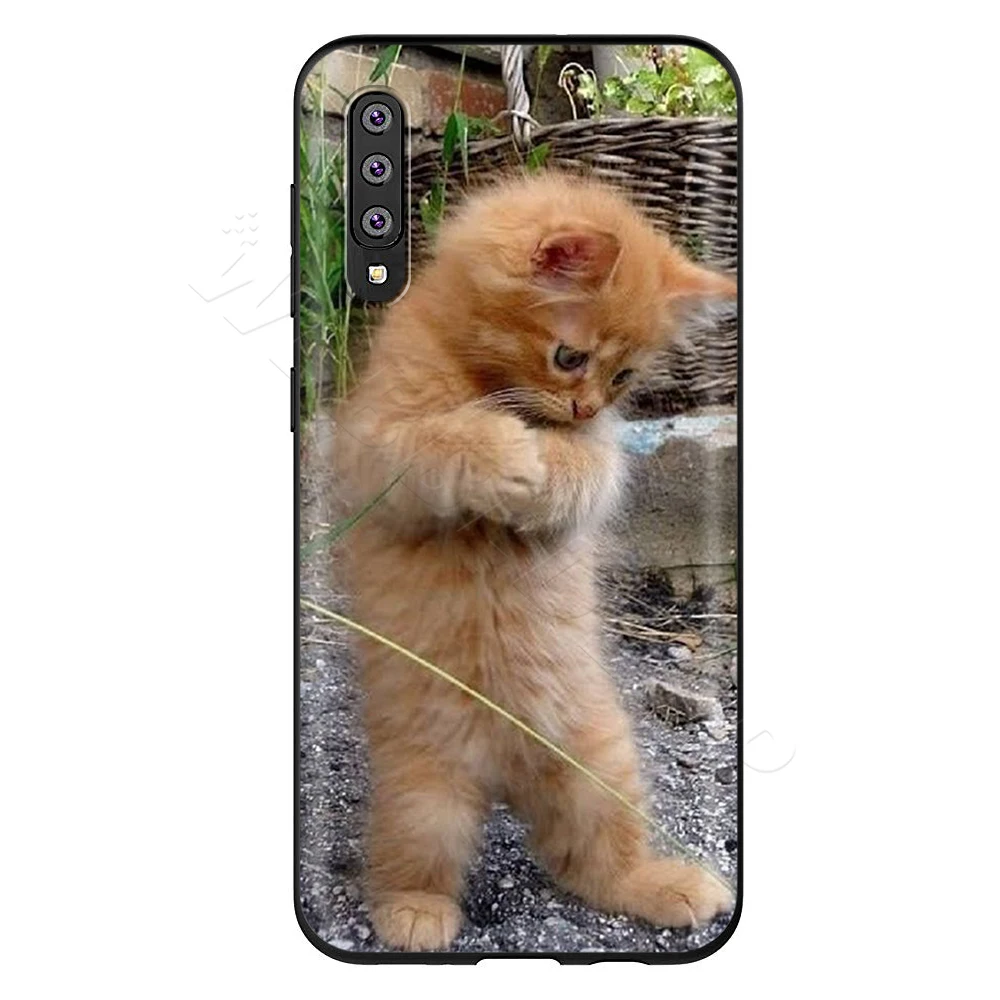 2 Webbedepp смешного котенка кота чехол для samsung Galaxy S7 S8 S9 S10 Edge Plus Note 10 8 9 A10 A20 A30 A40 A50 A60 A70 - Цвет: 2