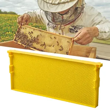 

Hive Box Frame Food Grade Plastic Integrated Nest Frame Durable Wax Coated Bee Foundation Sheet Beekeeping Tools