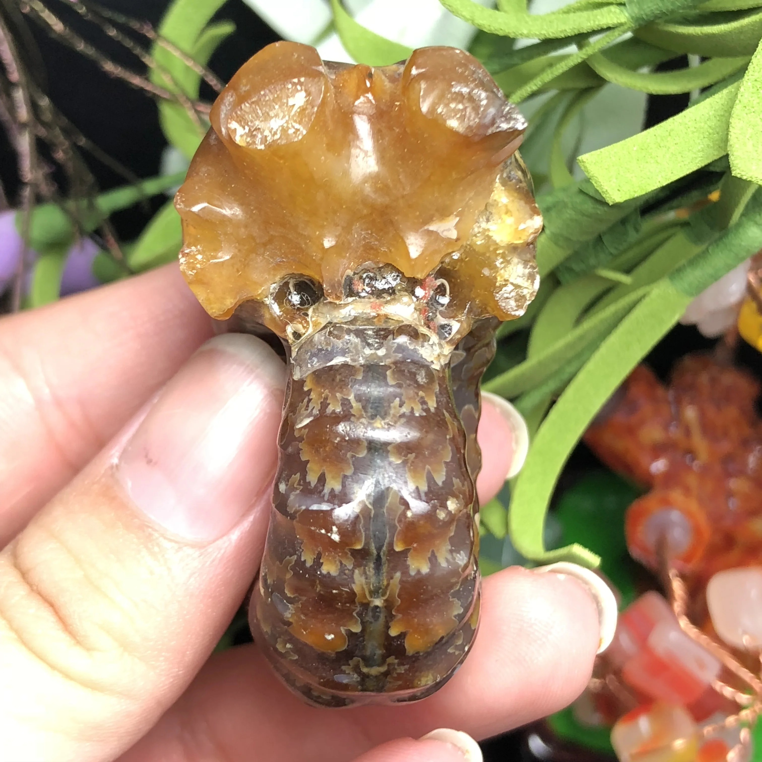 Натуральный Полированный козий гудок окаменелости аммониты Conch douvileras