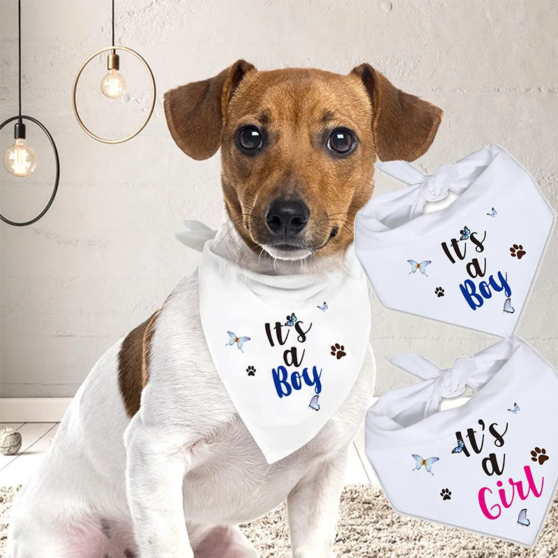 Это мальчик это девочка Пол раскрыть для объявления Baby shower украшения собака