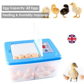 

Energy-Saving Mute Bionic Water-Bed Incubator Mini Thermostat Hatcher For Duck Eggs Bird Eggs Goose Eggs (UK Plug)
