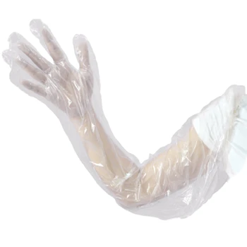 

30 Pairs of Disposable Gloves Long Arm Gloves PE Garden Barbecue Gloves Multifunctional Gloves
