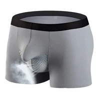 Mens Boxers Underwear Sexy U Convex Big Penis Pocket Modal Seamless Men Boxershorts Breathable Mesh Scrotum Bag Male Underpants 1