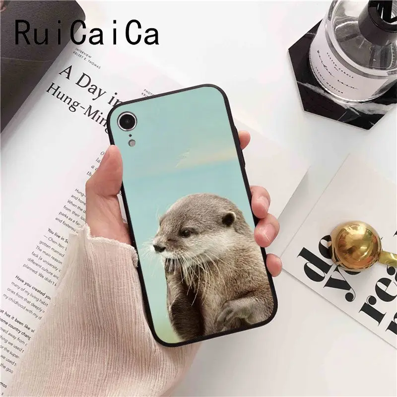 lovely cute Otter water animal