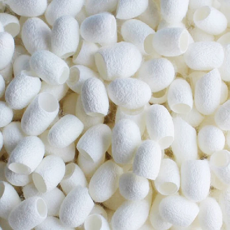 

20/30/50/100pcs Silkworm Ball Purifying Face Cleanser Natural Silk Balls Deep Cleaning Face Care Exfoliating Blackhead Removal