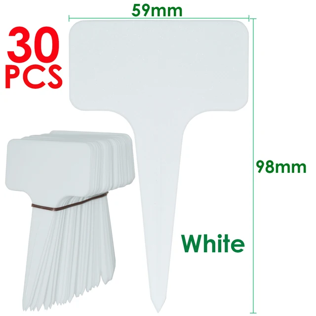 White-30pcs