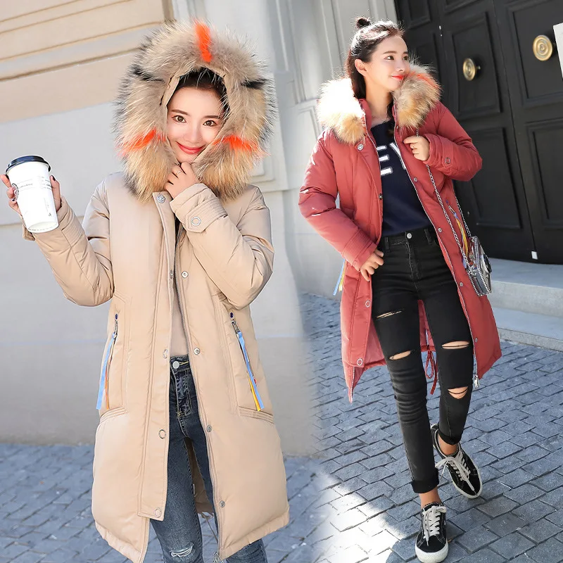 

Photo Shoot Large Fur Collar down Jacket Women's 2019 New Style Korean-style Slim Fit Elegant Hooded Cotton-padded Clothes Mid-l