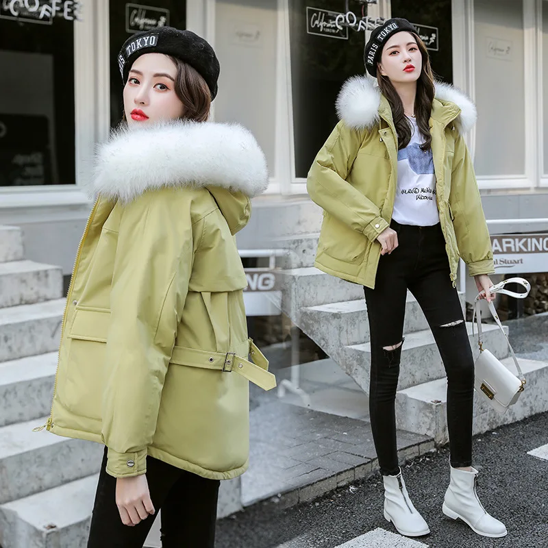 

Autumn And Winter WOMEN'S Dress 2019 Autumn And Winter New Style down Jacket Cotton-padded Clothes Women's Korean-style Short Lo