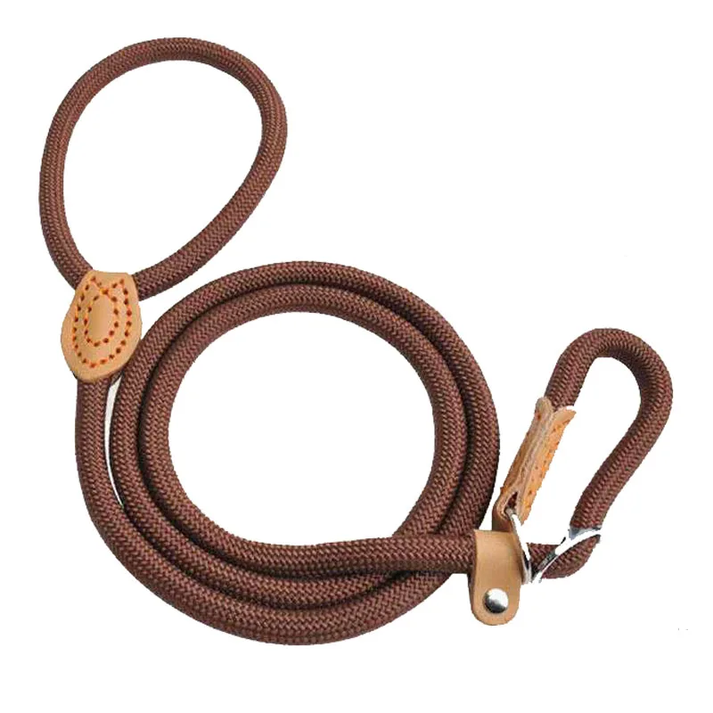 brown dog leash