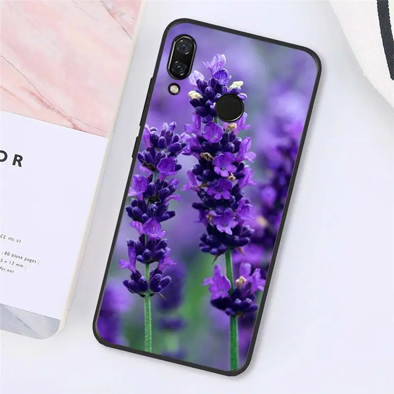 Simple lavender Purple flowers   