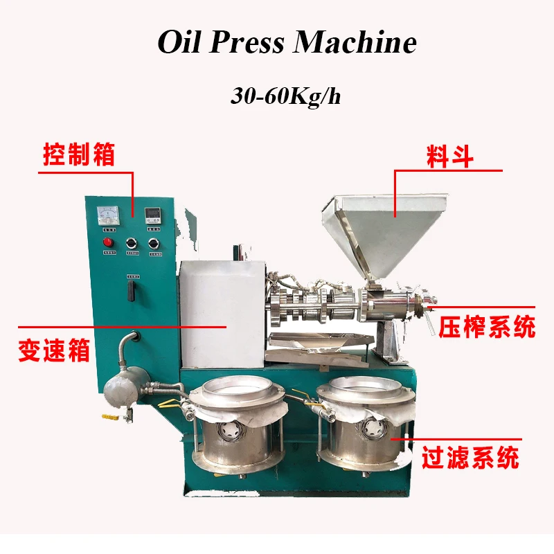 Commercial Peanut Oil Press Machine Pine Coconut Nut Kernel Squeeze 30-60 Kg/H Extractor Business 3