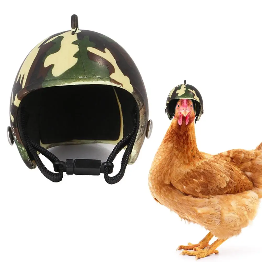 

Top Selling Pet Helmet Funny Protective Chicken Helmet Hen Hard Bird Hat Headgear Adjustable And Practical Head Protector