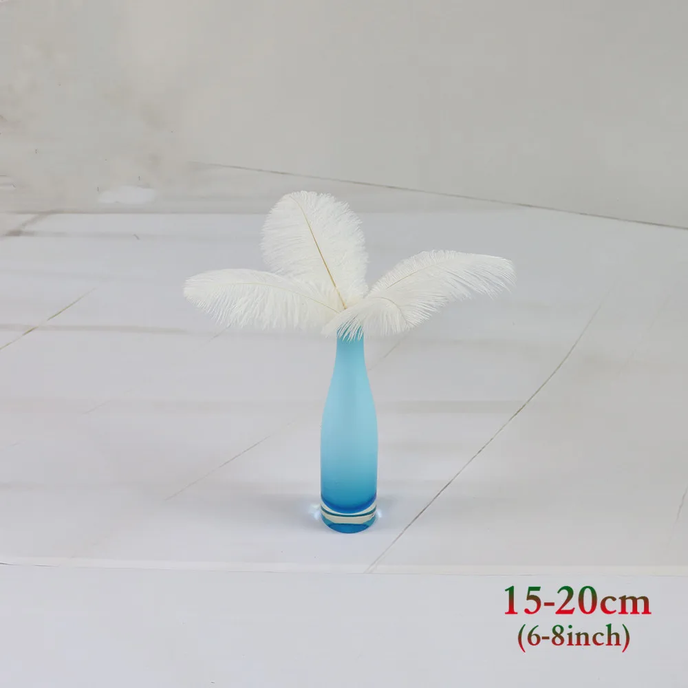 白色 15-20cm 鸵鸟毛 1_副本