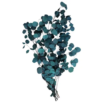 

Eucalyptus Dried Flowers Artificial Eucalyptus Leaves Flower Dried Bouquet(Blue)