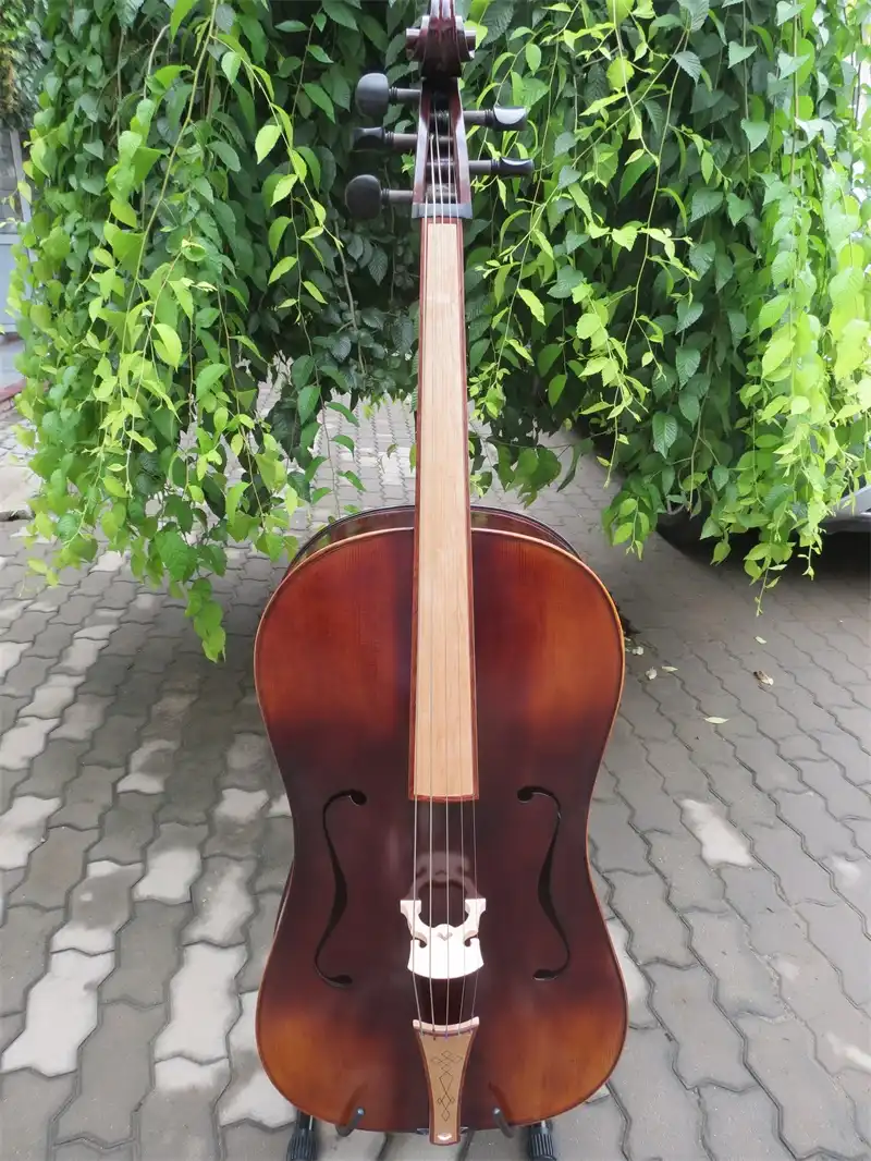 Medieval cello Clearance