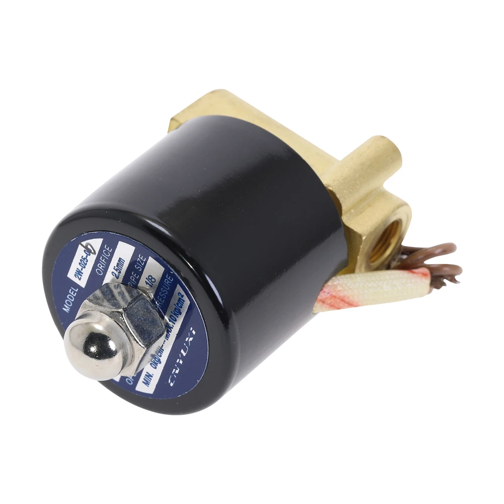 1/" латунный Электрический электромагнитный клапан DC12V DC24V AC220V 110V Нормально закрытый 2W-025-06 электромагнитный пневматический клапан для воды, масла, воздуха