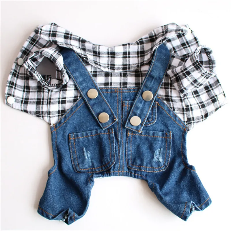 10755604509_289572969