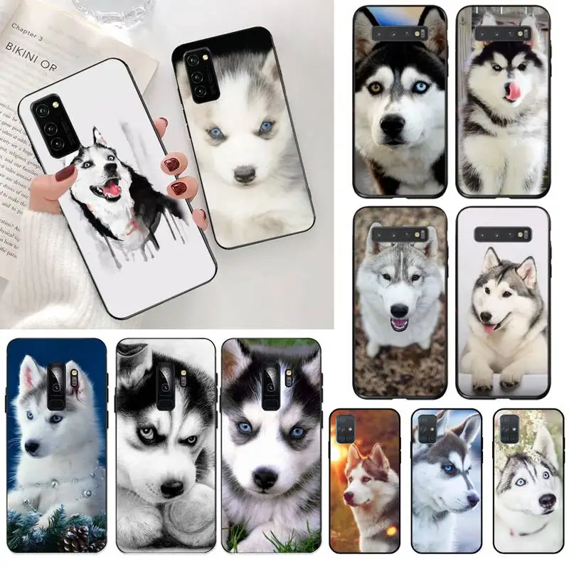 Мягкий резиновый чехол для телефона с изображением собаки хаски Samsung S20 plus Ultra S6 S7