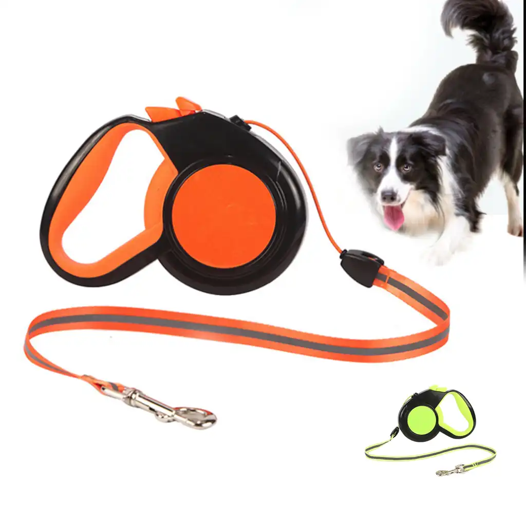 small dog extending leads